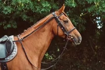 Reins Anti Grazing Solo
